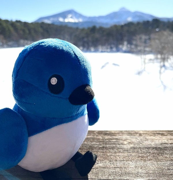 裏磐梯高原ホテル　リフレッシュオープン記念プラン